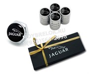 Подарочный набор Ягуар